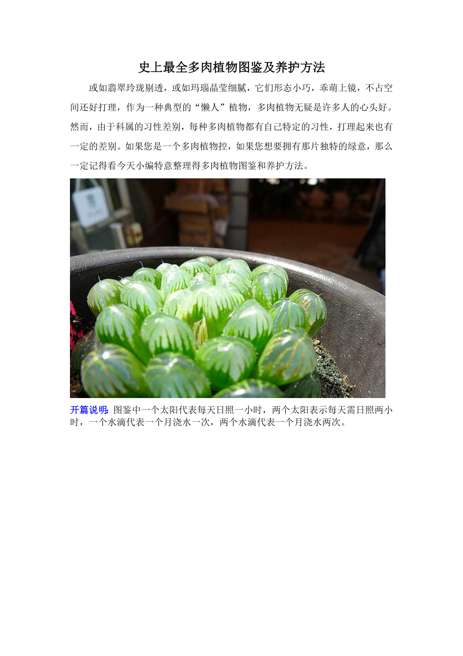 史上最全多肉植物图鉴及养护方法完整版.doc_第1页