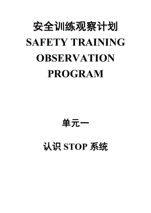 杜邦STOP安全培训观查程序汇总.doc