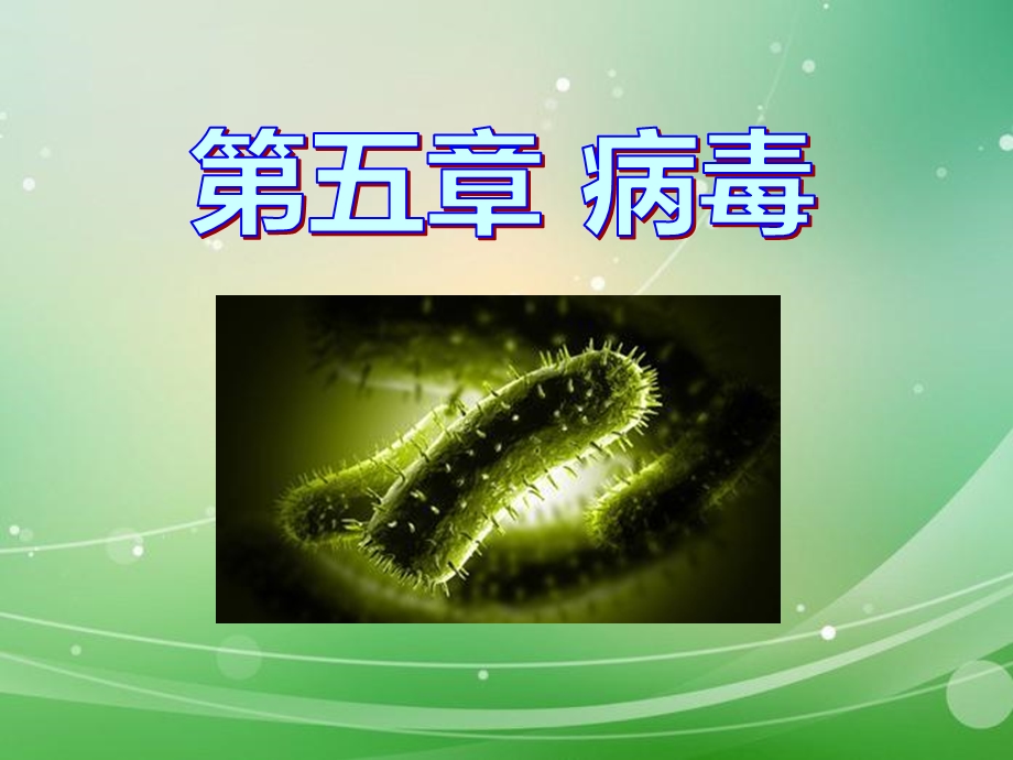 《病毒》优选精品ppt课件.ppt_第1页