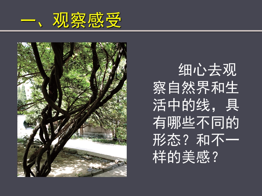 《线条的表现力》第一课课件.ppt_第2页