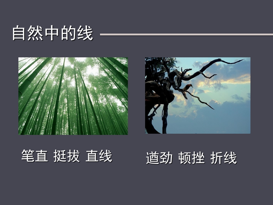 《线条的表现力》第一课课件.ppt_第3页