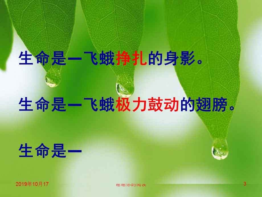 课标版四年级下册《生命生命》ppt课件.ppt_第3页