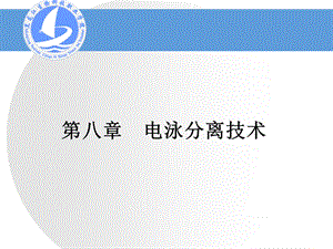 选择聚丙烯酰胺凝胶浓度参考值课件.ppt