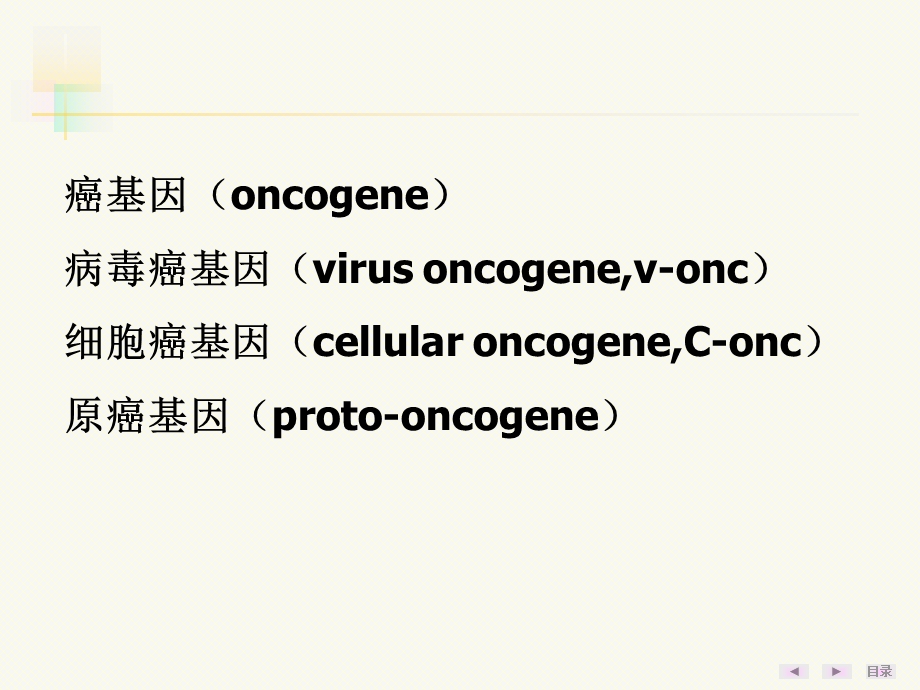 第20章癌基因抑癌基因与生长因子课件.ppt_第3页