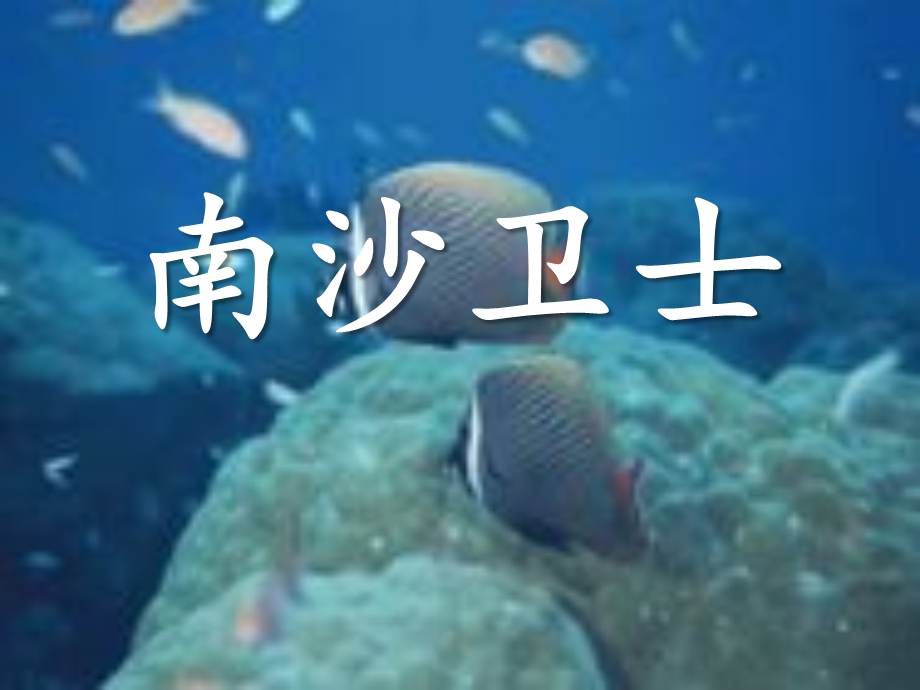 《南沙卫士》优秀ppt课件.ppt_第1页