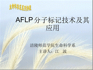 AFLP分子标记技术及其应用课件.ppt