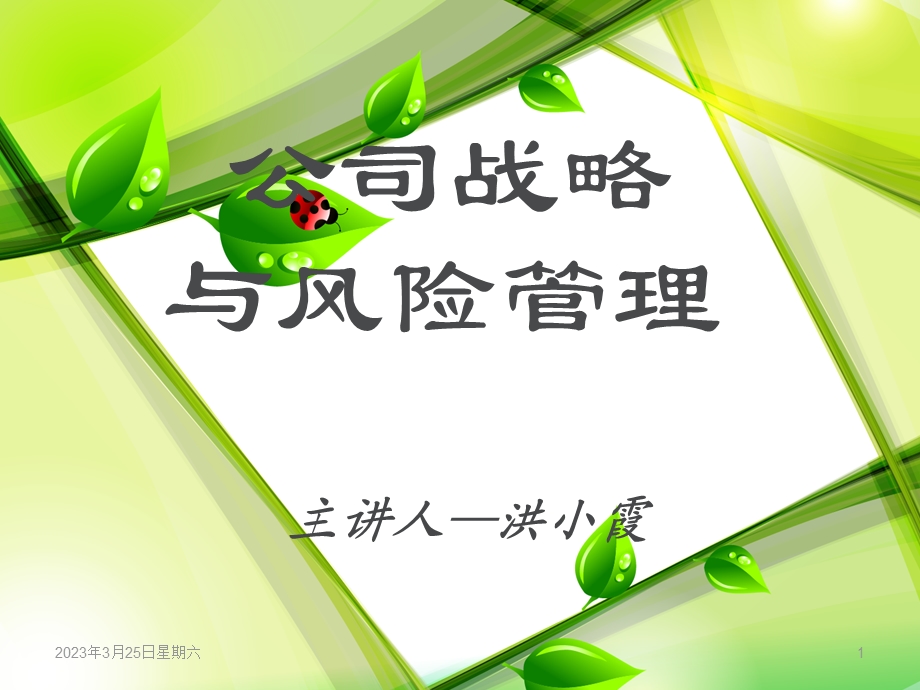 《公司战略与风险管理》ppt课件.ppt_第1页