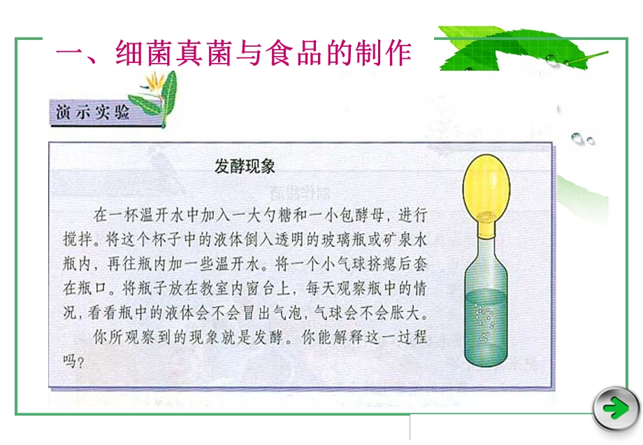 细菌真菌与疾病防治课件.ppt_第2页