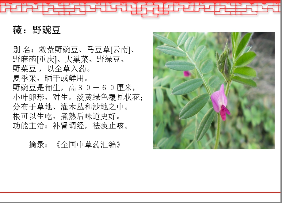 诗经《采薇》-中职解析课件.ppt_第3页