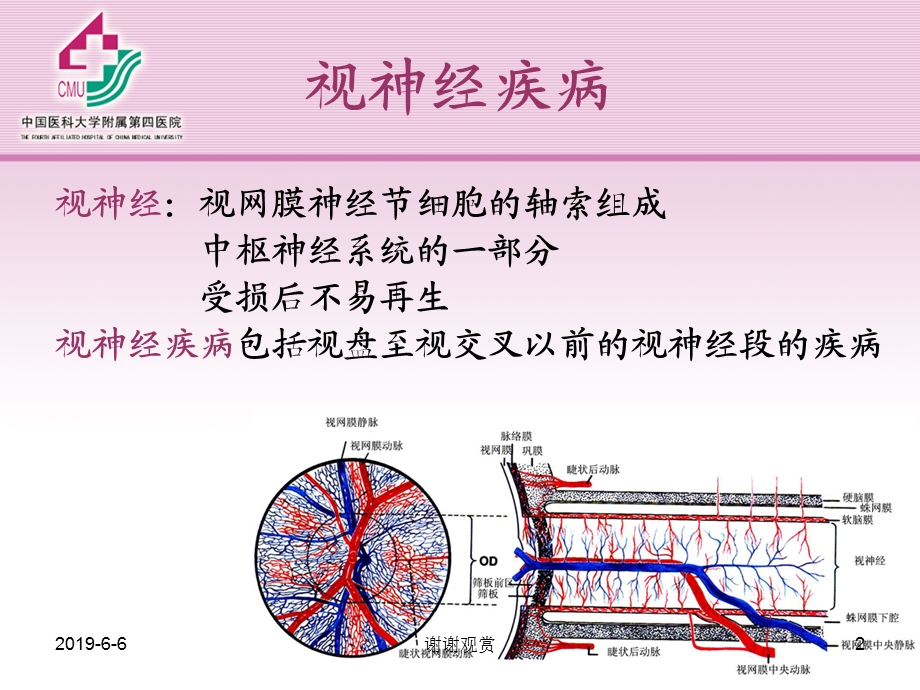 视神经及视路疾病解读课件.pptx_第2页