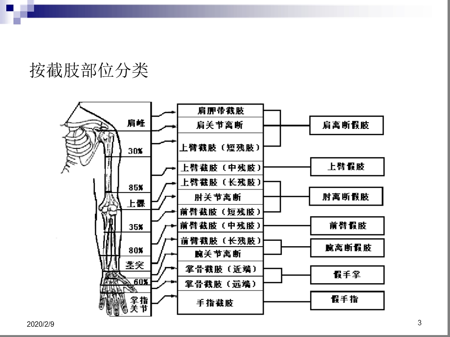 假肢技术上肢假肢课件.ppt_第3页