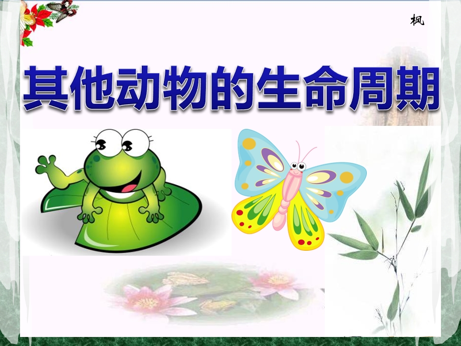 《其他动物的生命周期》动物的生命周期课件.ppt_第1页