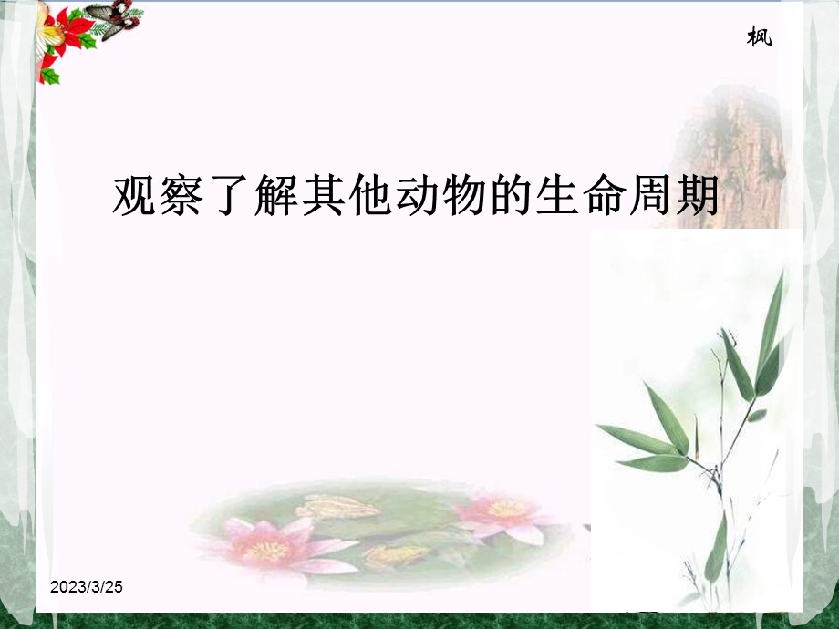 《其他动物的生命周期》动物的生命周期课件.ppt_第2页