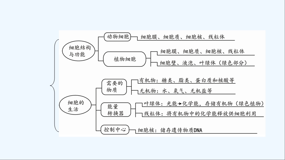 生物中考复习生物体的结构层次课件.ppt_第3页