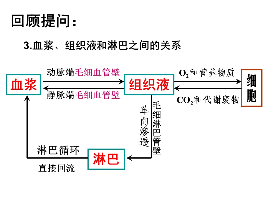 细胞生活的环境(二课时)课件.ppt_第3页