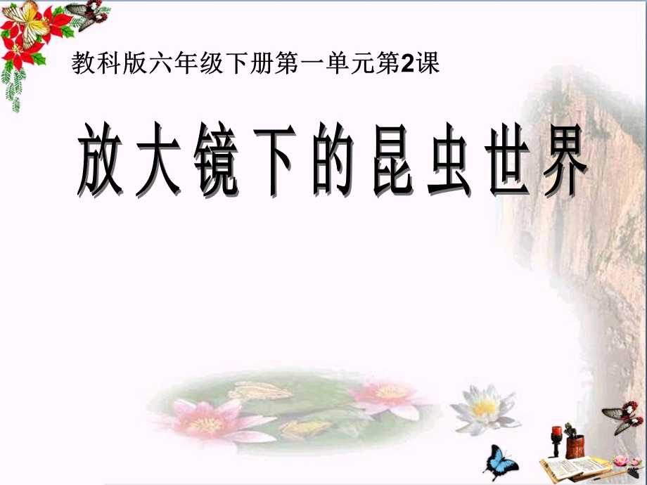 《放大镜下的昆虫世界》微小世界精品ppt课件.ppt_第1页