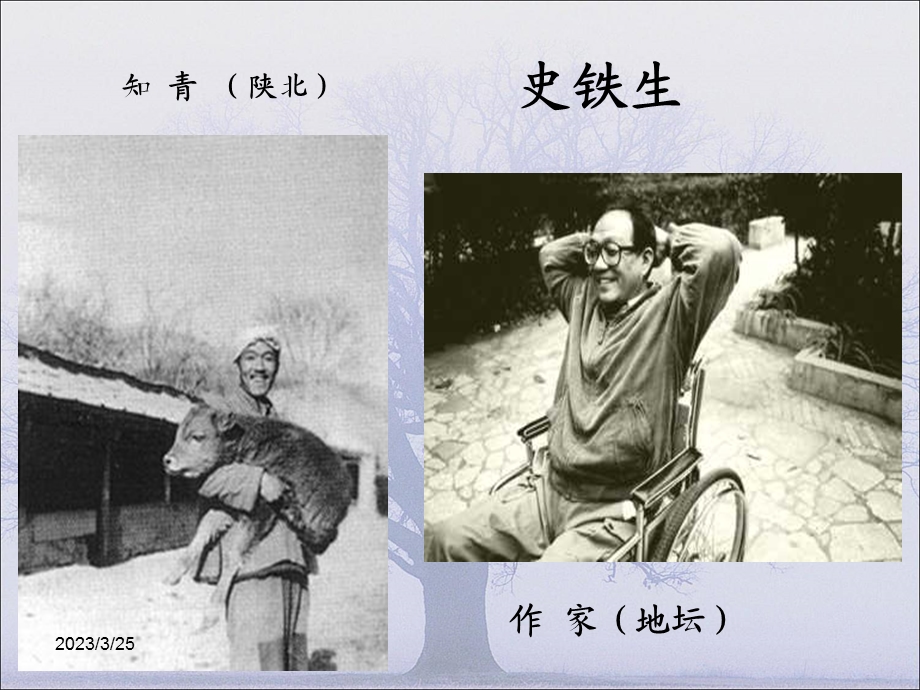 《史铁生合欢树》课件.ppt_第2页