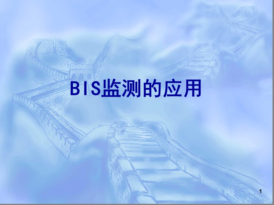 BIS监测参考幻灯片课件.ppt_第1页