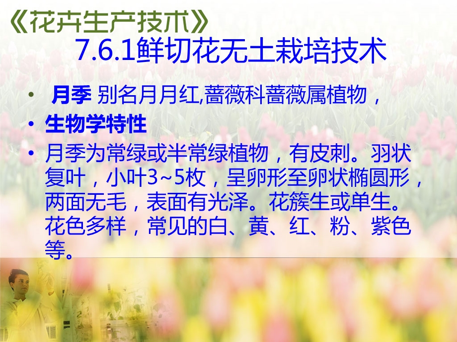 鲜切花无土栽培技术课件.ppt_第2页