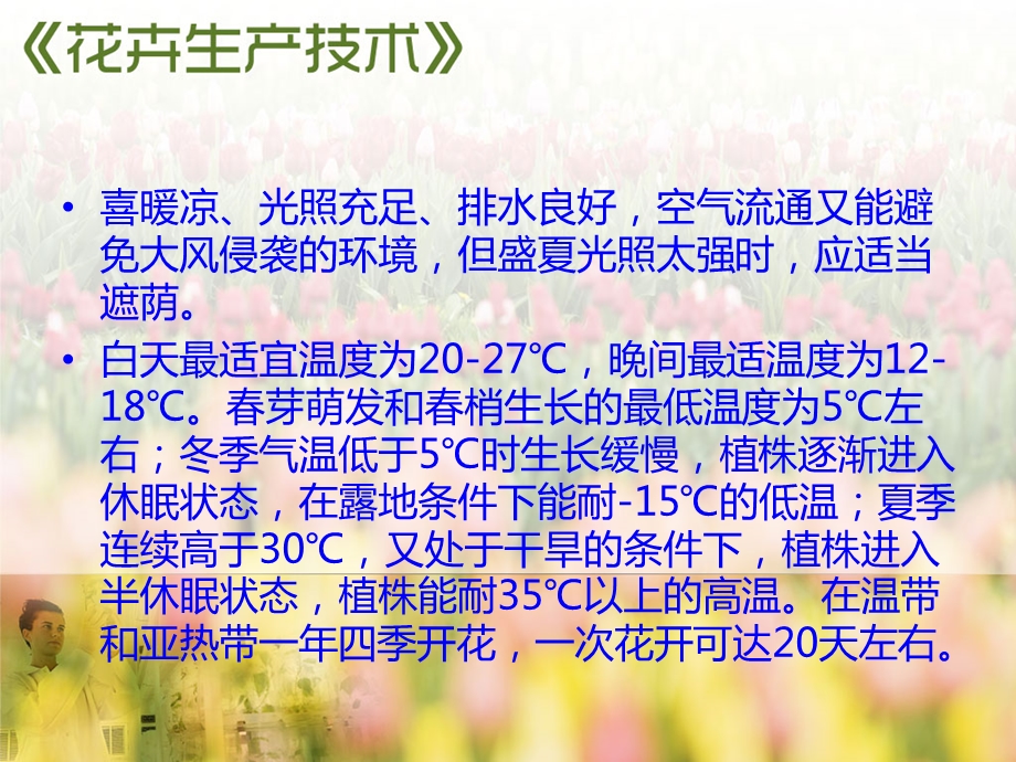 鲜切花无土栽培技术课件.ppt_第3页