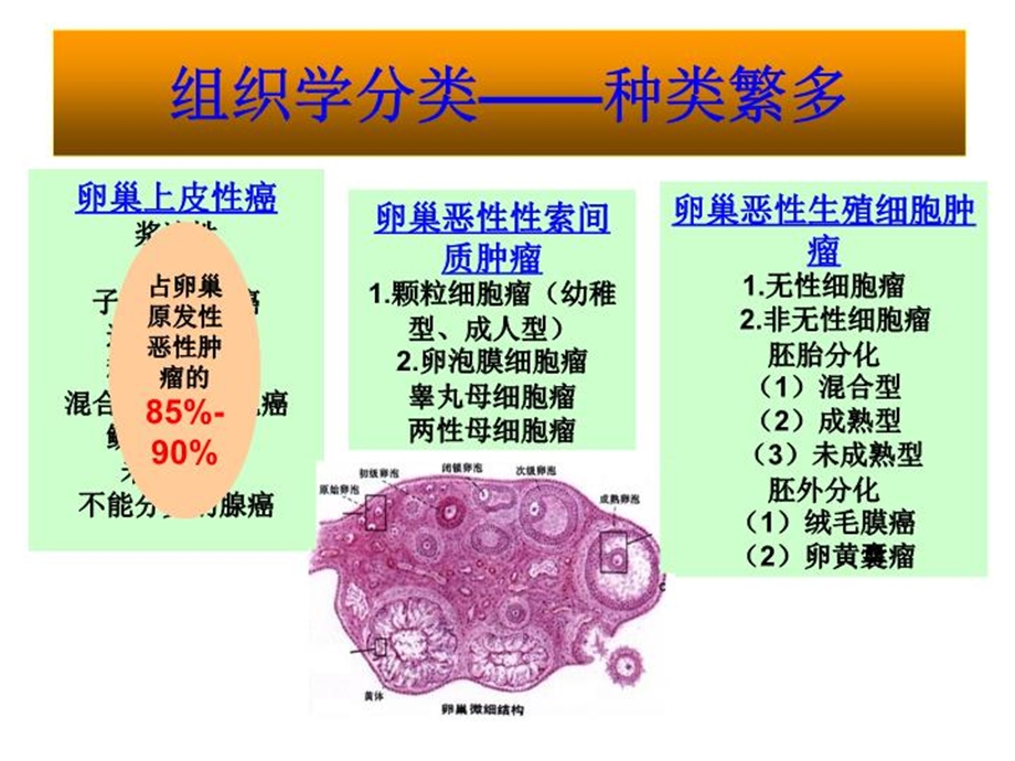 保留生育功能的卵巢癌手术幻灯片课件.ppt_第3页