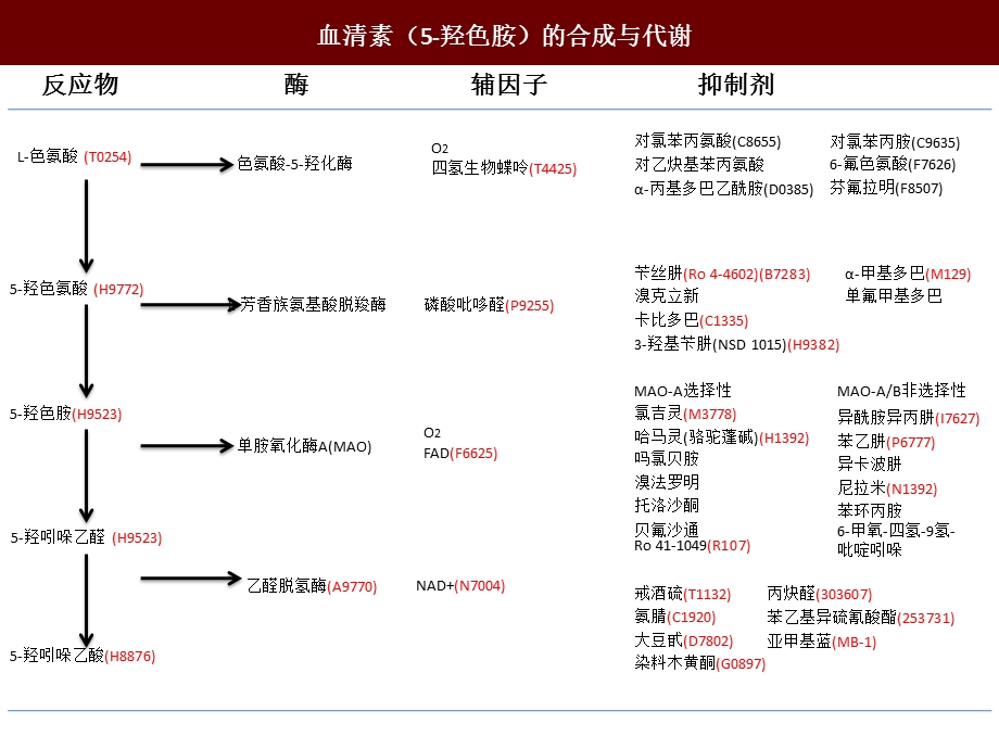 谷氨酸受体课件.ppt_第1页