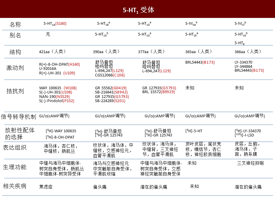 谷氨酸受体课件.ppt_第2页