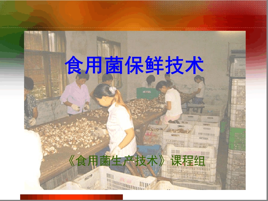 A15食用菌保鲜与粗加工技术课件.ppt_第1页