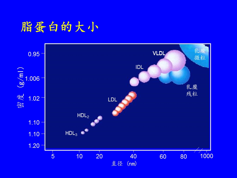 血脂代谢基础与药物性降脂治疗课件.ppt_第3页