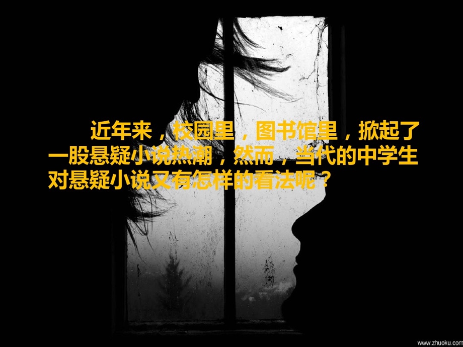 了解当代中学生对悬疑小说的看法课件.ppt_第2页