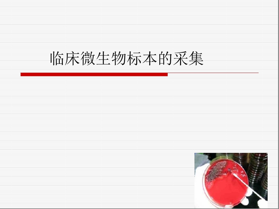 临床微生物标本的采集-课件.ppt_第1页