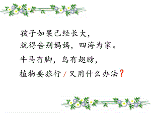 《植物妈妈有办法》ppt课件.ppt