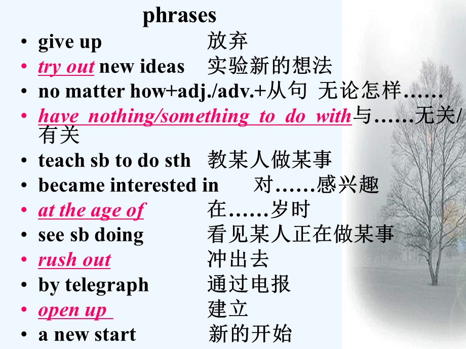 phrasesgive-up放弃try-outnew-ideas实验新的想法no-matter-how-adj.adv.-从句-无论怎样……have-nothingso课件.ppt_第1页