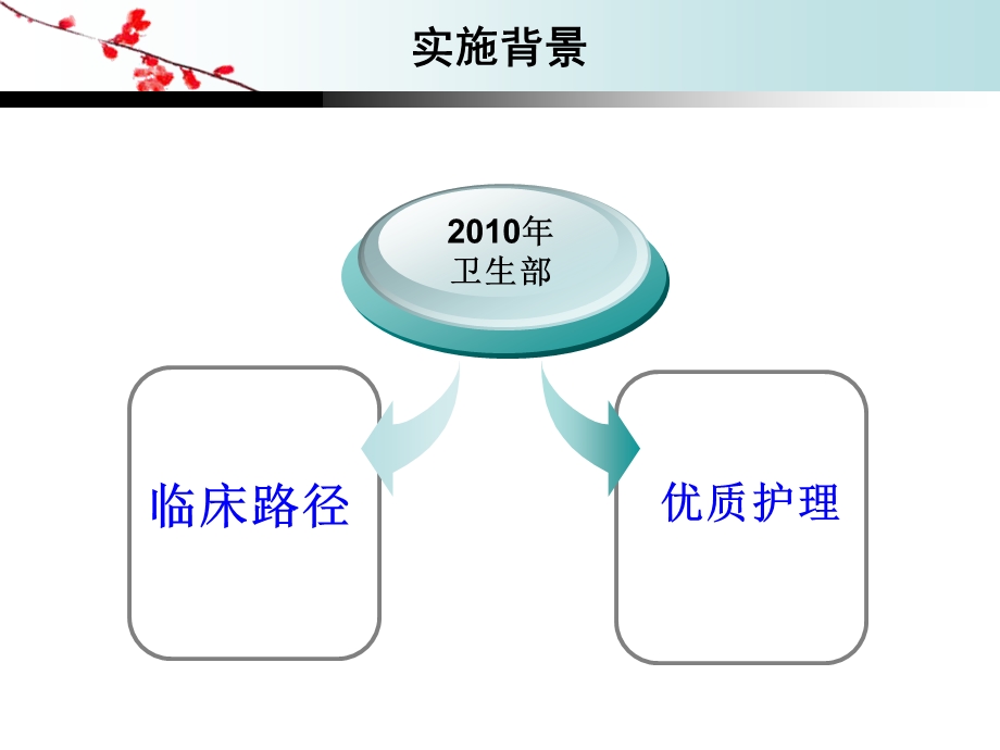 临床护理路径在工作中的应用-课件.ppt_第2页