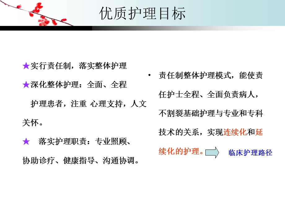 临床护理路径在工作中的应用-课件.ppt_第3页