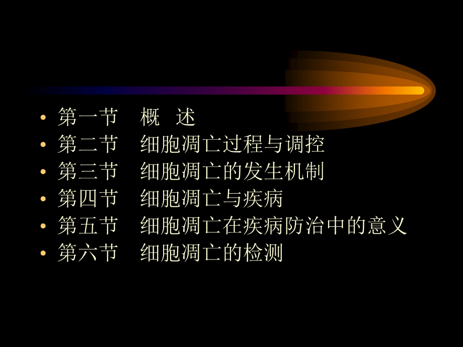 细胞凋亡与疾病4课件.ppt_第2页