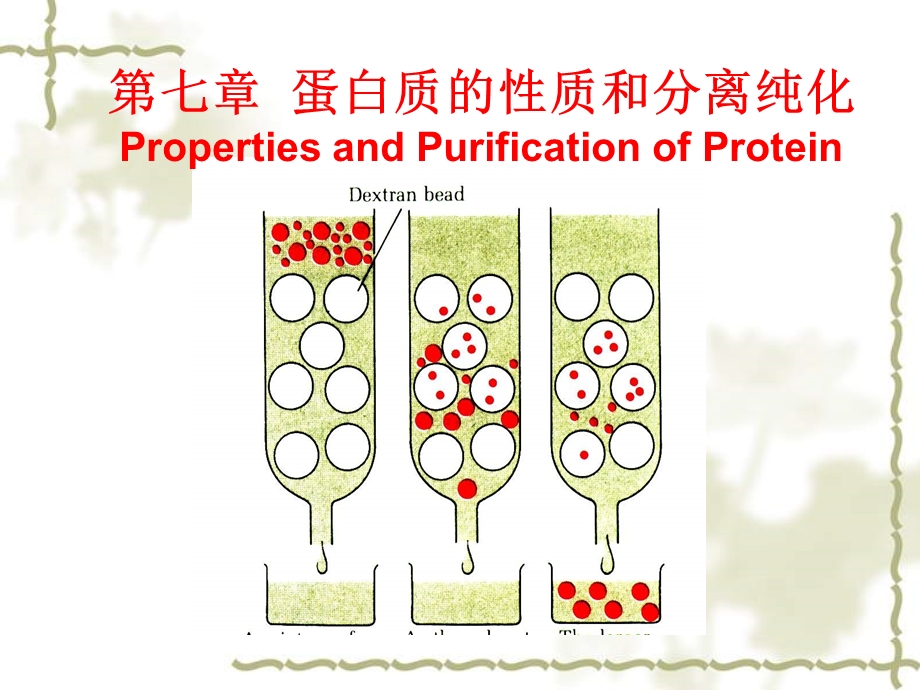 第七章蛋白质的分离纯化课件.ppt_第1页