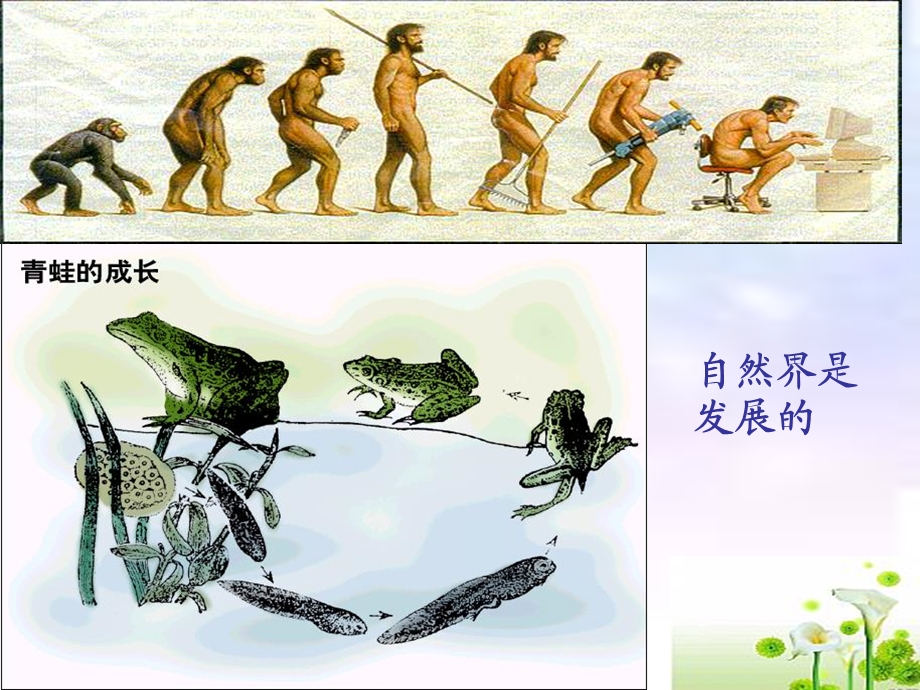 东方朔随口答道叫善哉!课件.ppt_第3页