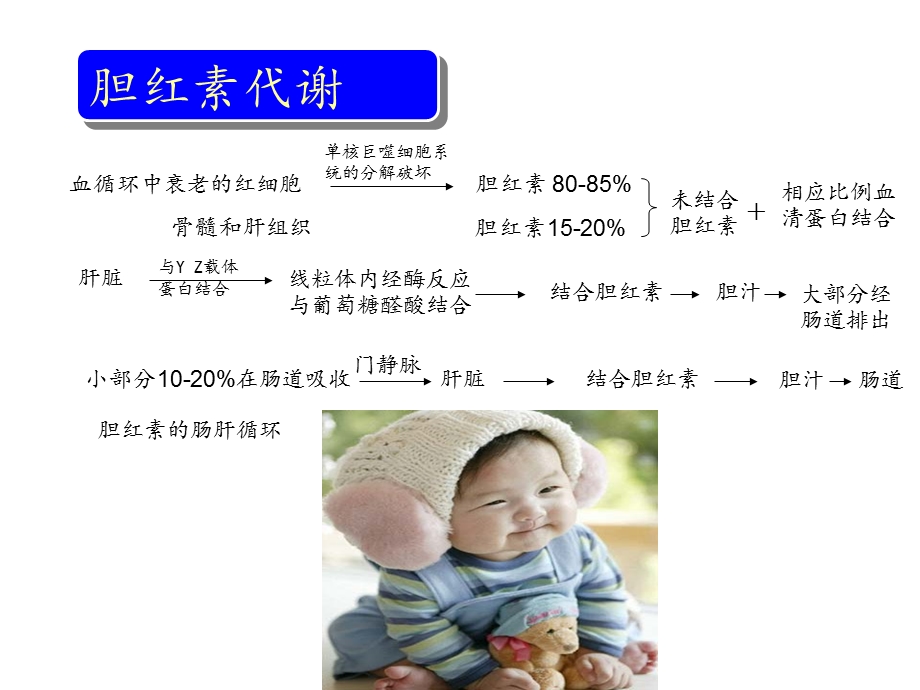 新生儿黄疸护理课件.ppt_第2页