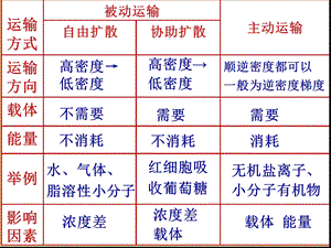 实验植物细胞质壁分离与复原课件.ppt