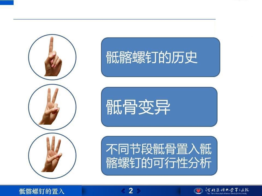 不同骶骨节段置入横行骶髂螺钉的可行性分析及临床应用课件.ppt_第2页