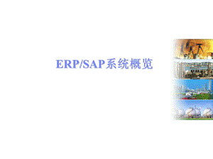 ERP-SAP系统概览资料课件.ppt