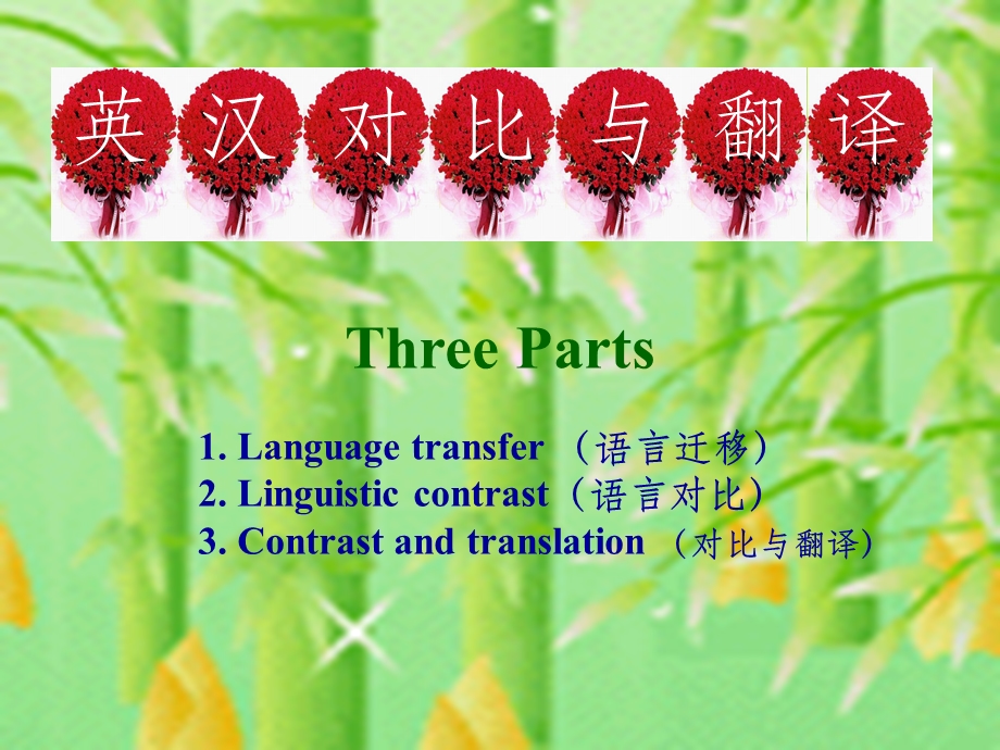 英汉对比与翻译(好)课件.ppt_第3页