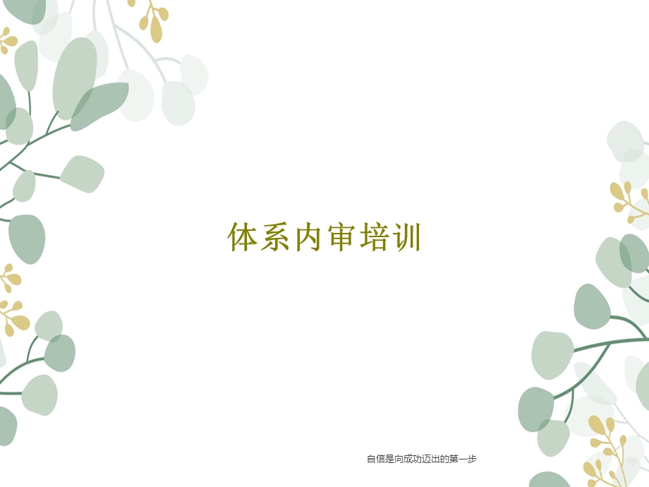 体系内审培训课件.ppt_第1页