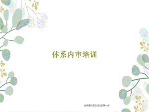 体系内审培训课件.ppt