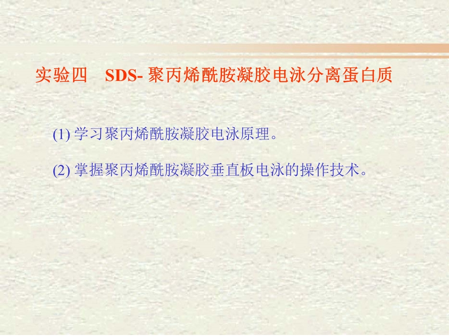 试验四SDS-聚丙烯酰胺凝胶电泳分离蛋白质课件.ppt_第1页