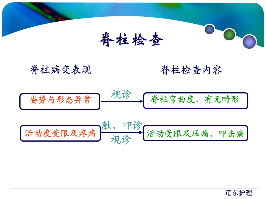 《健康评估》脊柱与四肢的评估课件.ppt_第2页