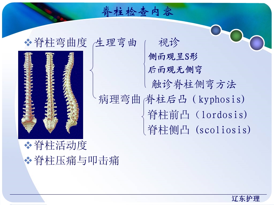 《健康评估》脊柱与四肢的评估课件.ppt_第3页