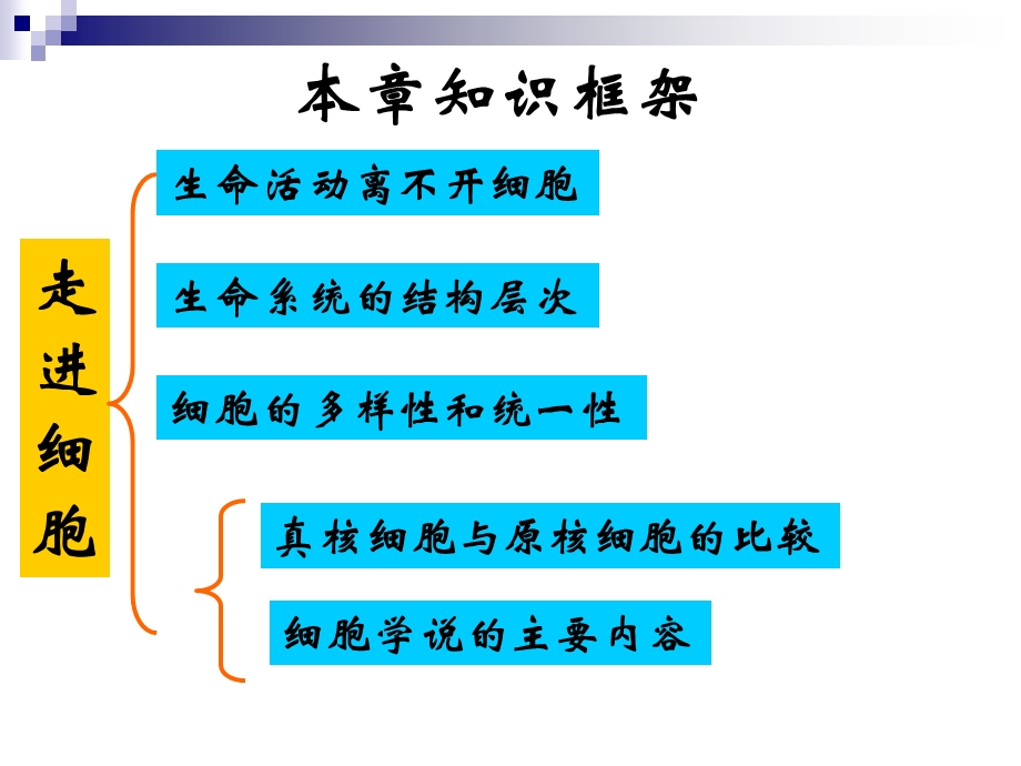 一轮复习第一章走进细胞课件.ppt_第2页