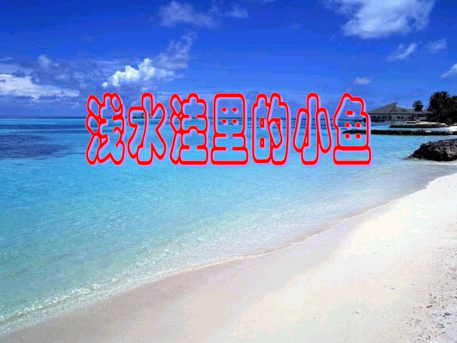 《浅水洼里的小鱼》优秀ppt课件.pptx_第1页